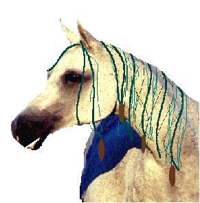 blue.gif