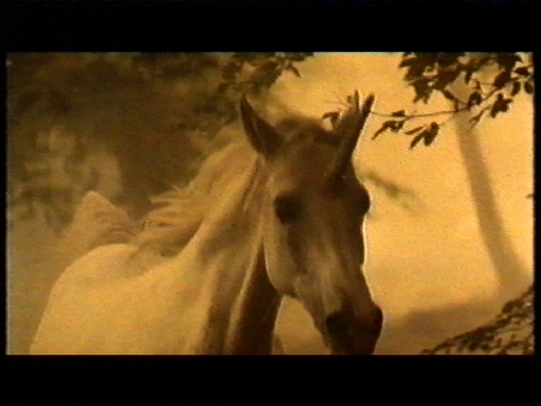 unicornkuva.jpg